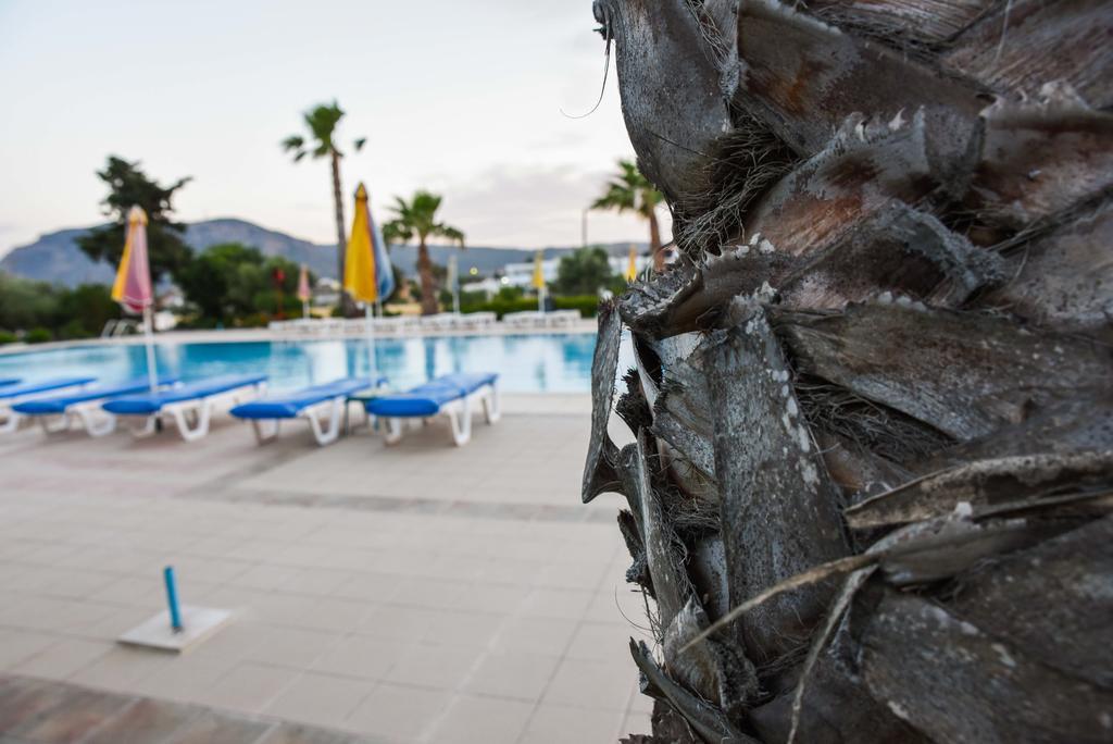 Chrysoula Hotel Kéfalos Dış mekan fotoğraf